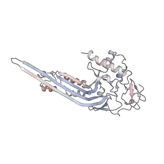 12651_7nyd_H_v1-1
cryoEM structure of 2C9-sMAC