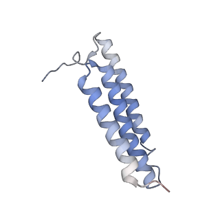 12652_7nyh_K_v1-0
Respiratory complex I from Escherichia coli - focused refinement of membrane arm