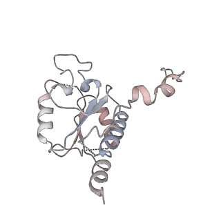 12654_7nyu_B_v1-0
Respiratory complex I from Escherichia coli - conformation 2