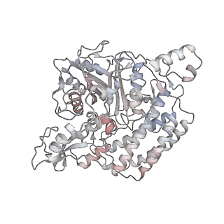 12654_7nyu_D_v1-0
Respiratory complex I from Escherichia coli - conformation 2