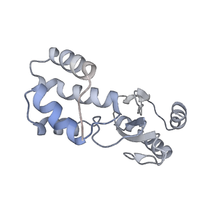 12654_7nyu_E_v1-0
Respiratory complex I from Escherichia coli - conformation 2