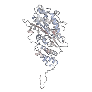 12654_7nyu_F_v1-0
Respiratory complex I from Escherichia coli - conformation 2