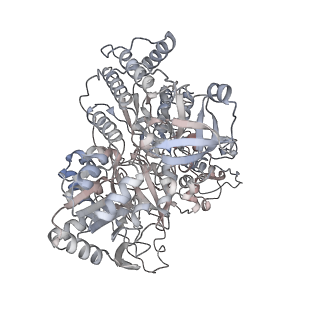 12654_7nyu_G_v1-0
Respiratory complex I from Escherichia coli - conformation 2