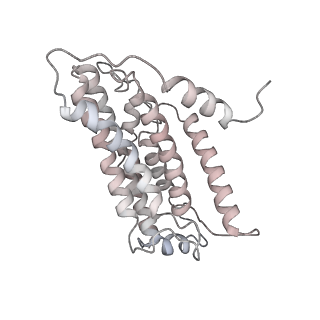 12654_7nyu_H_v1-0
Respiratory complex I from Escherichia coli - conformation 2