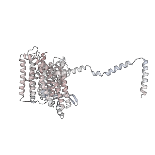 12654_7nyu_L_v1-0
Respiratory complex I from Escherichia coli - conformation 2