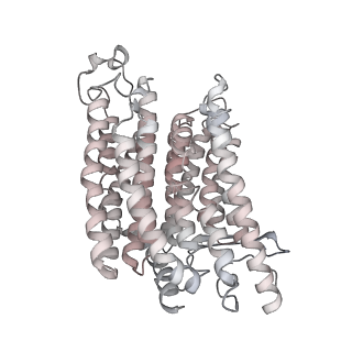 12654_7nyu_M_v1-0
Respiratory complex I from Escherichia coli - conformation 2
