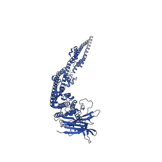 12656_7nyw_A_v1-1
Cryo-EM structure of the MukBEF-MatP-DNA head module