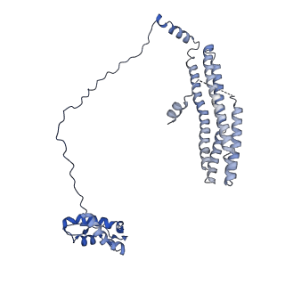 12656_7nyw_C_v1-1
Cryo-EM structure of the MukBEF-MatP-DNA head module