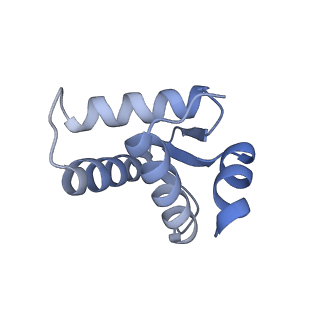 12656_7nyw_D_v1-1
Cryo-EM structure of the MukBEF-MatP-DNA head module
