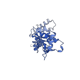 12656_7nyw_E_v1-1
Cryo-EM structure of the MukBEF-MatP-DNA head module