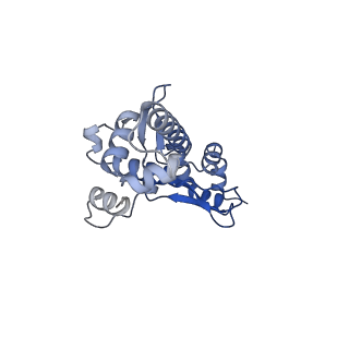 12656_7nyw_F_v1-1
Cryo-EM structure of the MukBEF-MatP-DNA head module