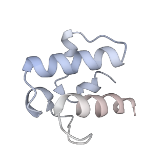 12656_7nyw_G_v1-1
Cryo-EM structure of the MukBEF-MatP-DNA head module