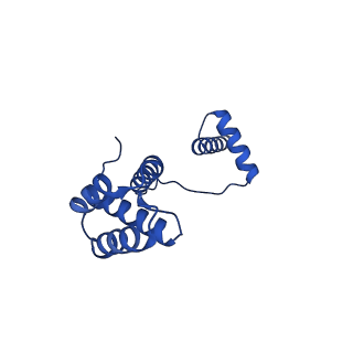 12656_7nyw_I_v1-1
Cryo-EM structure of the MukBEF-MatP-DNA head module