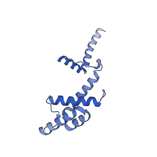 12656_7nyw_J_v1-1
Cryo-EM structure of the MukBEF-MatP-DNA head module