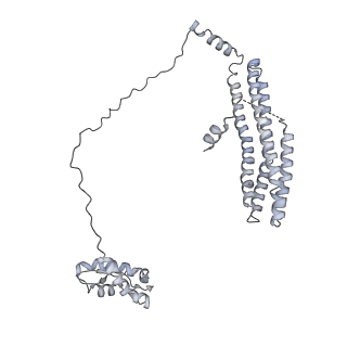 12657_7nyx_C_v1-1
Cryo-EM structure of the MukBEF-MatP-DNA monomer (closed conformation)