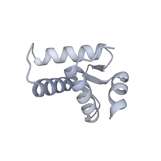 12657_7nyx_D_v1-1
Cryo-EM structure of the MukBEF-MatP-DNA monomer (closed conformation)