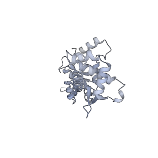 12657_7nyx_E_v1-1
Cryo-EM structure of the MukBEF-MatP-DNA monomer (closed conformation)