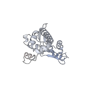 12657_7nyx_F_v1-1
Cryo-EM structure of the MukBEF-MatP-DNA monomer (closed conformation)
