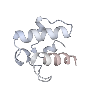 12657_7nyx_G_v1-1
Cryo-EM structure of the MukBEF-MatP-DNA monomer (closed conformation)