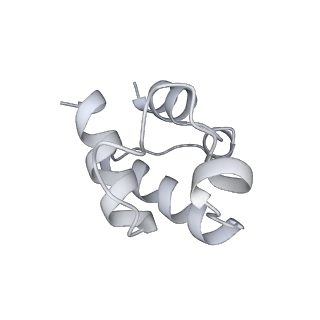 12657_7nyx_H_v1-1
Cryo-EM structure of the MukBEF-MatP-DNA monomer (closed conformation)