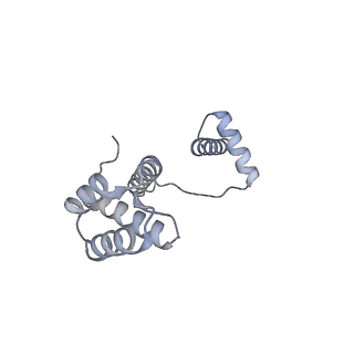 12657_7nyx_I_v1-1
Cryo-EM structure of the MukBEF-MatP-DNA monomer (closed conformation)