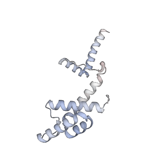 12657_7nyx_J_v1-1
Cryo-EM structure of the MukBEF-MatP-DNA monomer (closed conformation)