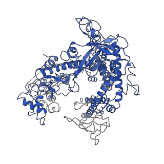 8980_6ny3_Y_v1-2
CasX ternary complex with 30bp target DNA