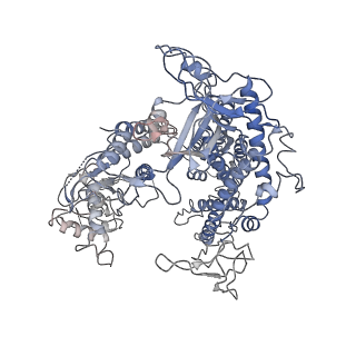 8994_6ny1_Y_v1-2
CasX-gRNA-DNA(30bp) State II