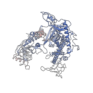 8994_6ny1_Y_v1-3
CasX-gRNA-DNA(30bp) State II