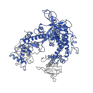 8996_6ny2_Y_v1-2
CasX-gRNA-DNA(45bp) state I