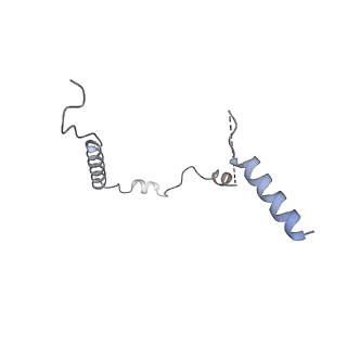 0554_6nzd_A_v1-3
Cryo-EM Structure of the Lysosomal Folliculin Complex (FLCN-FNIP2-RagA-RagC-Ragulator)