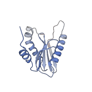 0554_6nzd_B_v1-3
Cryo-EM Structure of the Lysosomal Folliculin Complex (FLCN-FNIP2-RagA-RagC-Ragulator)