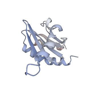 0554_6nzd_C_v1-3
Cryo-EM Structure of the Lysosomal Folliculin Complex (FLCN-FNIP2-RagA-RagC-Ragulator)