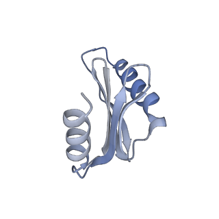0554_6nzd_E_v1-3
Cryo-EM Structure of the Lysosomal Folliculin Complex (FLCN-FNIP2-RagA-RagC-Ragulator)