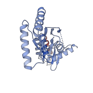0554_6nzd_F_v1-3
Cryo-EM Structure of the Lysosomal Folliculin Complex (FLCN-FNIP2-RagA-RagC-Ragulator)