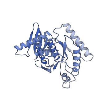 0554_6nzd_G_v1-3
Cryo-EM Structure of the Lysosomal Folliculin Complex (FLCN-FNIP2-RagA-RagC-Ragulator)