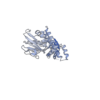 0554_6nzd_H_v1-3
Cryo-EM Structure of the Lysosomal Folliculin Complex (FLCN-FNIP2-RagA-RagC-Ragulator)