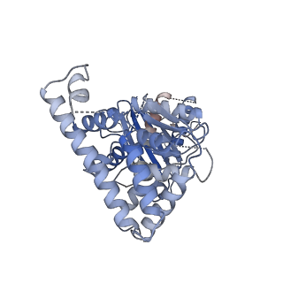 0554_6nzd_I_v1-3
Cryo-EM Structure of the Lysosomal Folliculin Complex (FLCN-FNIP2-RagA-RagC-Ragulator)