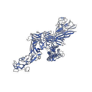 0557_6nzk_B_v1-2
Structural basis for human coronavirus attachment to sialic acid receptors
