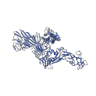 0557_6nzk_C_v2-0
Structural basis for human coronavirus attachment to sialic acid receptors