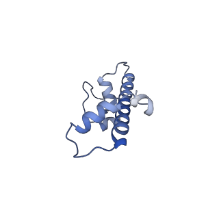 0559_6nzo_C_v1-1
Set2 bound to nucleosome