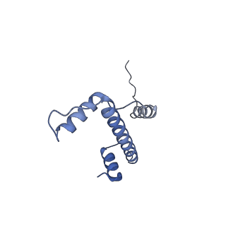 0559_6nzo_E_v1-1
Set2 bound to nucleosome