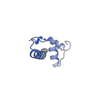 0559_6nzo_F_v1-1
Set2 bound to nucleosome