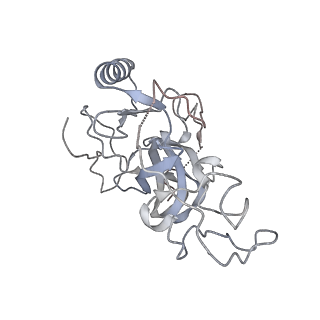 0559_6nzo_S_v1-1
Set2 bound to nucleosome