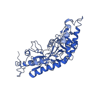 0560_6nzu_A_v1-2
Structure of the human frataxin-bound iron-sulfur cluster assembly complex