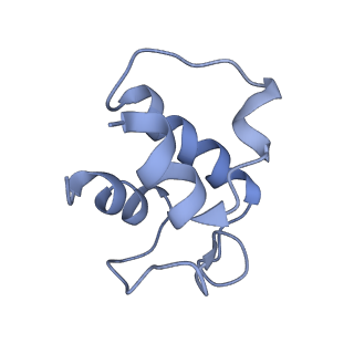 0560_6nzu_C_v1-2
Structure of the human frataxin-bound iron-sulfur cluster assembly complex