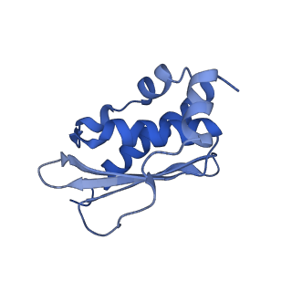 0560_6nzu_D_v1-2
Structure of the human frataxin-bound iron-sulfur cluster assembly complex