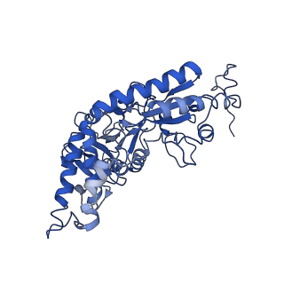 0560_6nzu_E_v1-2
Structure of the human frataxin-bound iron-sulfur cluster assembly complex