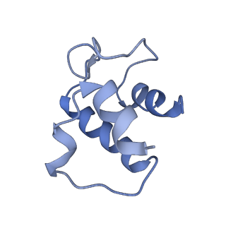 0560_6nzu_G_v1-2
Structure of the human frataxin-bound iron-sulfur cluster assembly complex