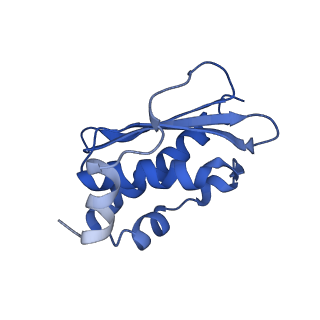 0560_6nzu_H_v1-2
Structure of the human frataxin-bound iron-sulfur cluster assembly complex